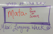 Te Wiki o te Reo Māori, Māori Language Week