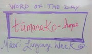 Te Wiki o te Reo Māori, Māori Language Week